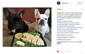 sheleenmealprepology